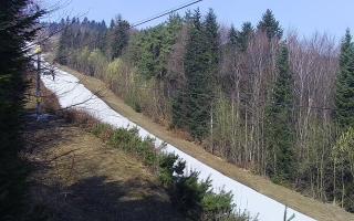 Laskowa pośredni - 16-03-2026 08:45