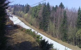 Laskowa pośredni - 16-03-2026 08:56