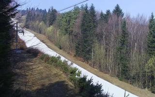 Laskowa pośredni - 16-03-2026 09:07