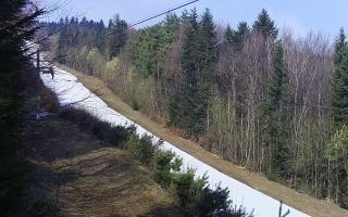 Laskowa pośredni - 16-03-2026 09:50