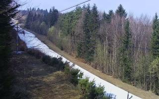 Laskowa pośredni - 16-03-2026 10:12