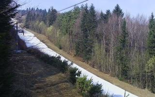 Laskowa pośredni - 16-03-2026 10:23