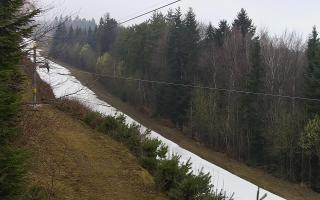 Laskowa pośredni - 17-03-2026 09:16