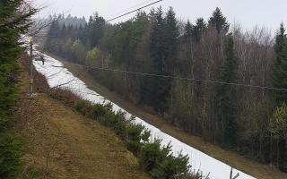 Laskowa pośredni - 17-03-2026 09:27