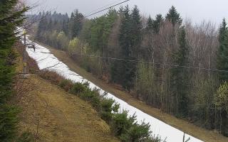 Laskowa pośredni - 17-03-2026 09:38