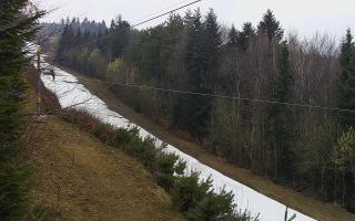 Laskowa pośredni - 17-03-2026 10:00