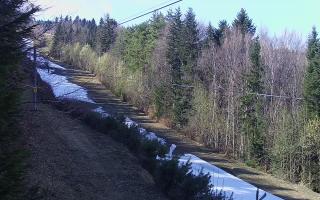 Laskowa pośredni - 21-03-2026 12:16