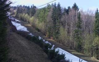 Laskowa pośredni - 21-03-2026 12:27