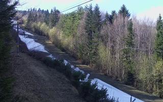 Laskowa pośredni - 21-03-2026 12:38