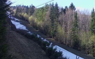 Laskowa pośredni - 21-03-2026 12:48