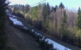 Laskowa pośredni - 21-03-2026 12:59