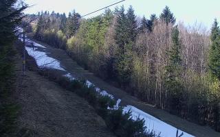 Laskowa pośredni - 21-03-2026 13:10