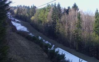 Laskowa pośredni - 21-03-2026 13:21