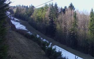 Laskowa pośredni - 21-03-2026 13:32