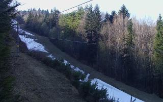 Laskowa pośredni - 21-03-2026 13:43