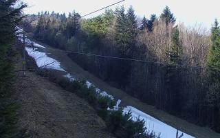 Laskowa pośredni - 21-03-2026 13:54