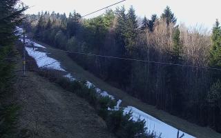 Laskowa pośredni - 21-03-2026 14:05