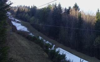 Laskowa pośredni - 21-03-2026 14:16