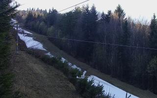 Laskowa pośredni - 21-03-2026 14:27