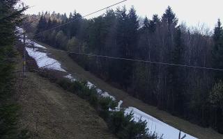 Laskowa pośredni - 21-03-2026 14:49