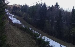 Laskowa pośredni - 21-03-2026 15:00