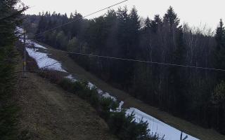 Laskowa pośredni - 21-03-2026 15:44