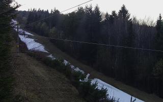 Laskowa pośredni - 21-03-2026 16:06