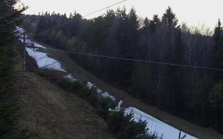 Laskowa pośredni - 21-03-2026 16:28