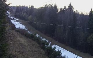 Laskowa pośredni - 21-03-2026 17:01