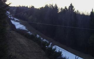 Laskowa pośredni - 21-03-2026 17:12