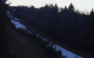 Laskowa pośredni - 21-03-2026 17:23