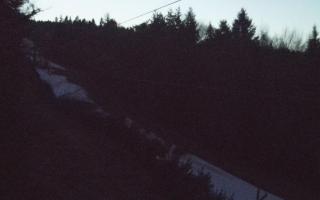 Laskowa pośredni - 21-03-2026 17:45