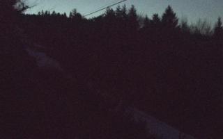 Laskowa pośredni - 21-03-2026 17:56