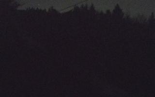 Laskowa pośredni - 21-03-2026 18:18