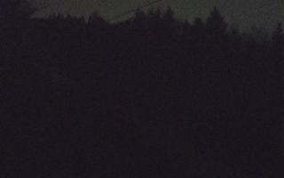 Laskowa pośredni - 21-03-2026 18:29