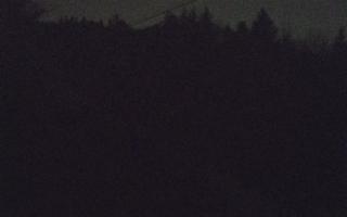 Laskowa pośredni - 21-03-2026 18:40