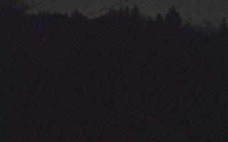 Laskowa pośredni - 21-03-2026 19:02