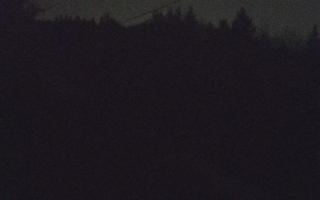 Laskowa pośredni - 21-03-2026 19:24