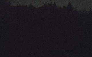 Laskowa pośredni - 21-03-2026 19:35