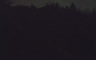 Laskowa pośredni - 21-03-2026 19:57