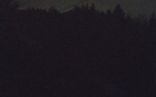 Laskowa pośredni - 21-03-2026 20:08