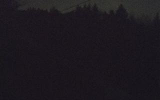 Laskowa pośredni - 21-03-2026 20:19