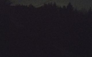 Laskowa pośredni - 21-03-2026 20:30