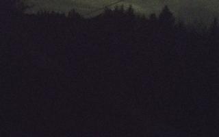 Laskowa pośredni - 21-03-2026 20:51