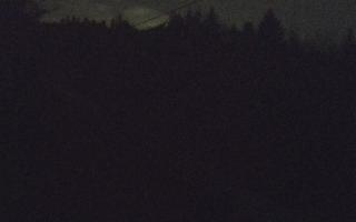 Laskowa pośredni - 21-03-2026 22:08