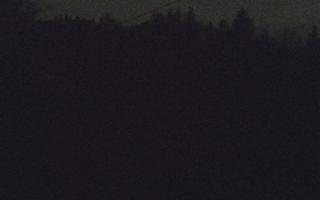 Laskowa pośredni - 21-03-2026 22:30