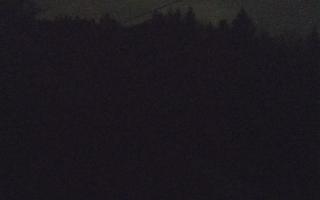 Laskowa pośredni - 21-03-2026 23:03