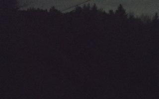 Laskowa pośredni - 01-05-2026 00:29