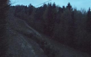 Laskowa pośredni - 01-05-2026 02:30