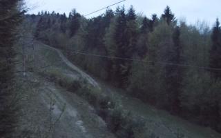 Laskowa pośredni - 01-05-2026 02:41